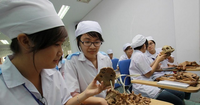 Ngành Y học cổ truyền lấy bao nhiêu điểm?