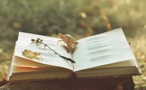 Thơ tự do có hình thức thể hiện linh hoạt, không bị ràng buộc bởi khuôn mẫu cố định