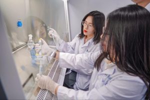 Nên chọn trường có chương trình đào tạo tốt, cơ sở vật chất hiện đại và nhiều cơ hội thực hành